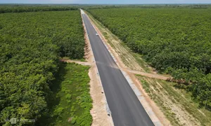 Diện mạo dự án đường Hồ Chí Minh xuyên rừng cao su ở Bình Dương