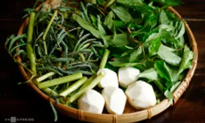 Thai phụ có thể ăn rau đay mỗi ngày không?