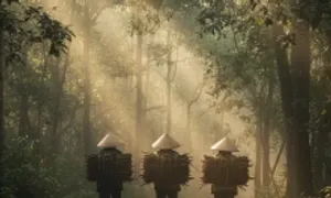 'Luật rừng' từng dạy cách sống chừng mực